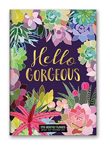 Stock image for Orange Circle Studio 17-Month 2018 Monthly Pocket Planner, Hello for sale by Hawking Books