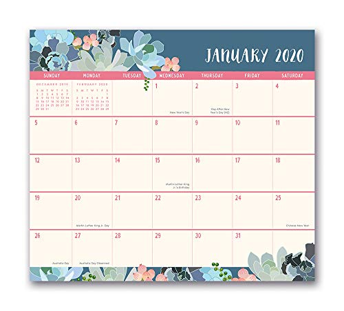 Beispielbild fr Orange Circle Studio 2020 Magnetic Monthly Calendar Pad, August 2019 - December 2020, Succulent Paradise zum Verkauf von Book Deals