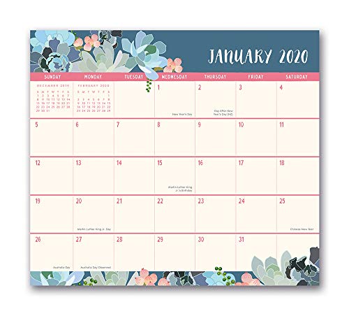 Stock image for Orange Circle Studio 2020 Magnetic Monthly Calendar Pad, August 2019 - December 2020, Succulent Paradise for sale by Book Deals