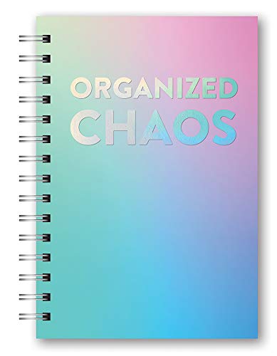 Stock image for Orange Circle Studio 2020 Medium Spiral Planner, August 2019 - December 2020, Organized Chaos for sale by GF Books, Inc.