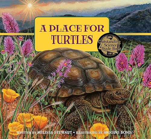 Stock image for A Place for Turtles for sale by Better World Books