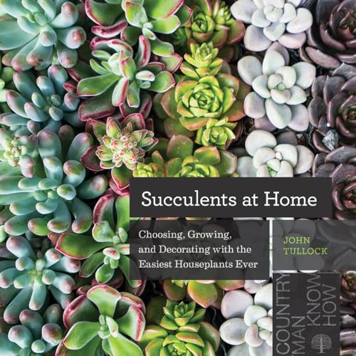 Stock image for Succulents at Home: Choosing, Growing, and Decorating with the Easiest Houseplants Ever for sale by Books Unplugged