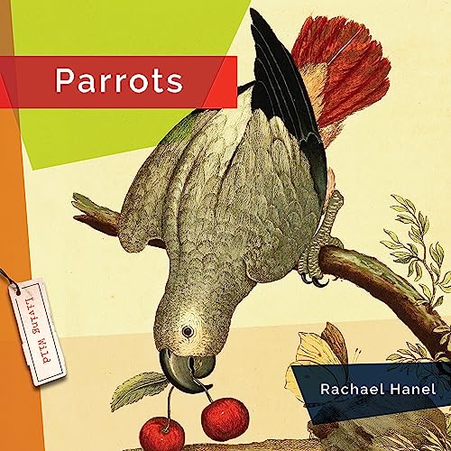 Beispielbild fr Parrots zum Verkauf von Blackwell's