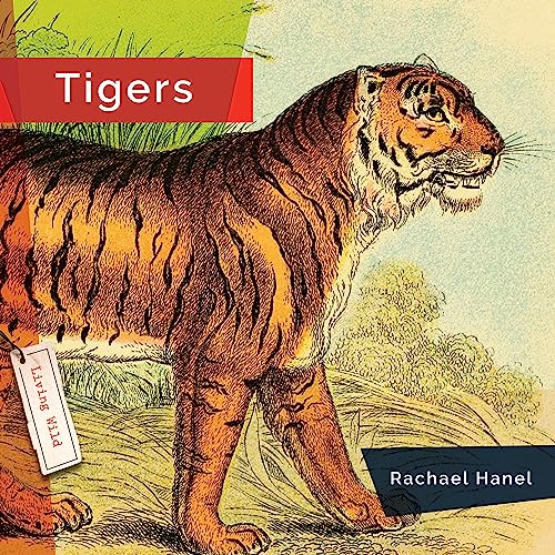 9781682770887: Tigers (Living Wild)