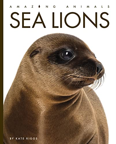 Beispielbild fr Sea Lions zum Verkauf von ThriftBooks-Atlanta