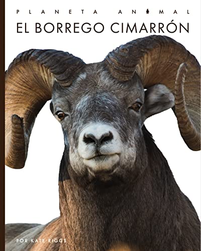 9781682772447: El borrego cimarrn / Bighorn Sheep (Planeta Animal / Animal Planet)
