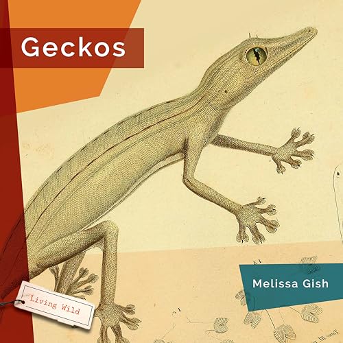 Imagen de archivo de Geckos [Paperback] Gish, Melissa a la venta por Lakeside Books