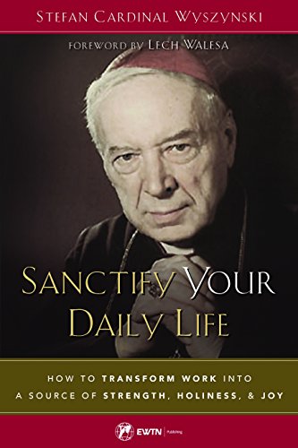 9781682780640: Sanctify Your Daily Life: How to Transform Work Into a Source of Strength, Holiness, and Joy