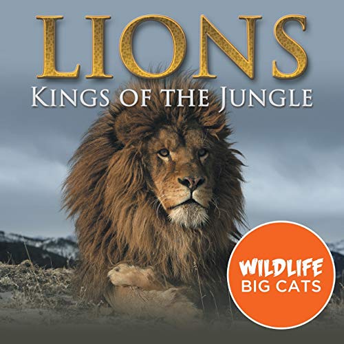 Stock image for Lions: Kings of the Jungle (Wildlife Big Cats) for sale by SecondSale