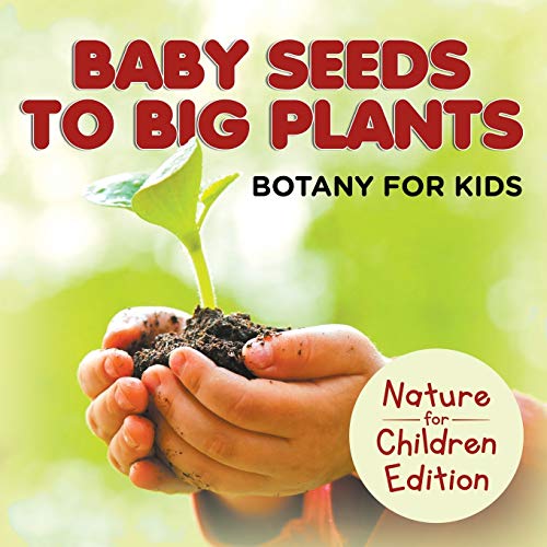 9781682806012: Baby Seeds To Big Plants: Botany for Kids Nature for Children Edition