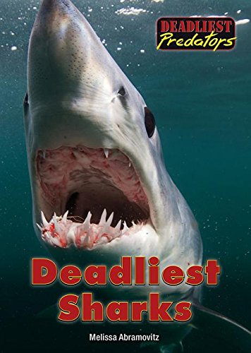 9781682820544: Deadliest Sharks