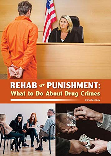 Beispielbild fr Rehab or Punishment : What to Do about Drug Crimes zum Verkauf von Better World Books