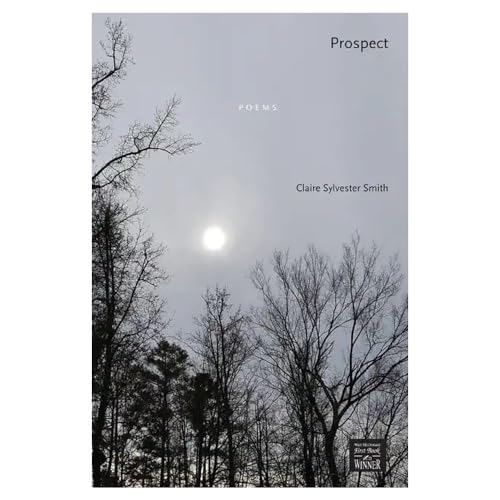 Stock image for Prospect: Poems (Walt McDonald First-Book Series in Poetry) for sale by SecondSale