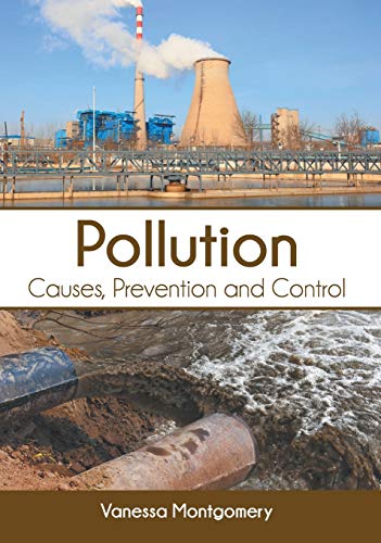9781682868287: Pollution: Causes, Prevention and Control