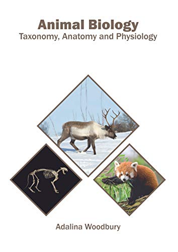 Imagen de archivo de Animal Biology: Taxonomy, Anatomy and Physiology a la venta por Revaluation Books