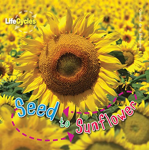 Stock image for Seed to Sunflower (LifeCycles) for sale by Discover Books
