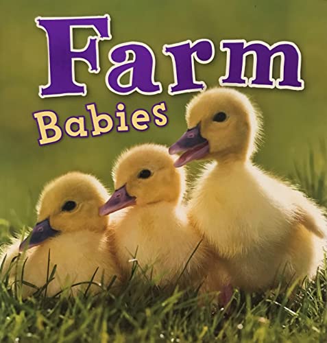 Stock image for Farm Babies for sale by Once Upon A Time Books