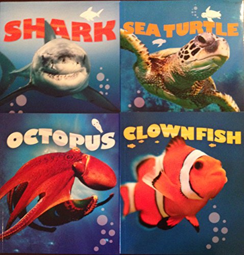 Imagen de archivo de QEB Publishing Sea Creatures 4 Books Box Set (Clownfish, Sea Turtle, Shark, Octopus) [Tin Set Includes 6 Toy Fish] a la venta por Better World Books: West
