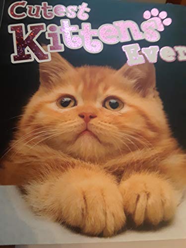 Beispielbild fr Cutest Kittens Ever zum Verkauf von SecondSale