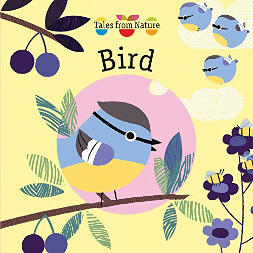 Imagen de archivo de Bird (Tales from Nature) a la venta por SecondSale