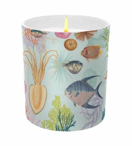 Beispielbild fr Art of Nature: Under the Sea Scented Glass Candle zum Verkauf von Blackwell's