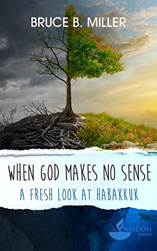 Stock image for When God Makes No Sense: A Fresh Look at Habakkuk (Wisdom) for sale by Wonder Book