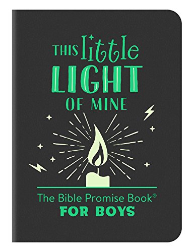Stock image for This Little Light of Mine: The Bible Promise Book for Boys for sale by BooksRun