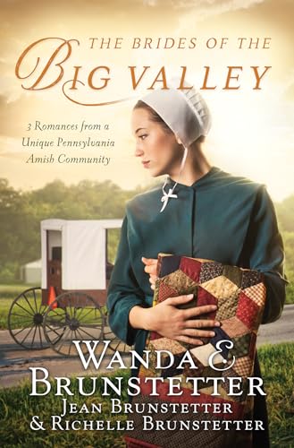Stock image for The Brides of the Big Valley: 3 Romances from a Unique Pennsylvania Amish Community for sale by ZBK Books