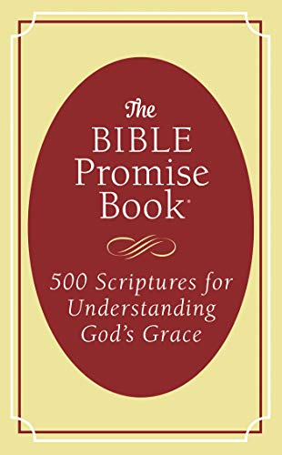 Stock image for The Bible Promise Book: 500 Scriptures for Understanding God's Grace for sale by SecondSale