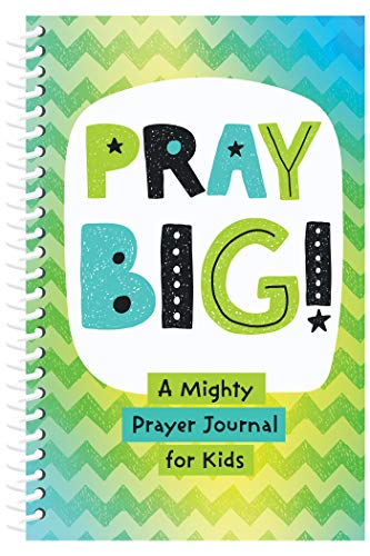 Imagen de archivo de PRAY BIG!: A Mighty Prayer Journal for Kids a la venta por Books From California