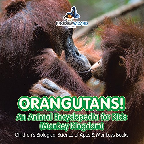 Imagen de archivo de Orangutans! An Animal Encyclopedia for Kids (Monkey Kingdom) - Children's Biological Science of Apes & Monkeys Books a la venta por ThriftBooks-Atlanta