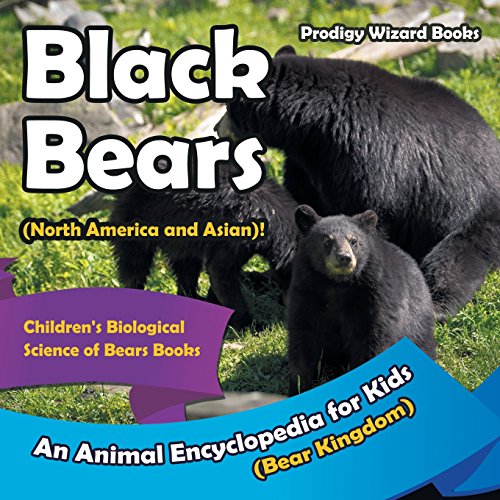Stock image for Black Bears (North America and Asian)! An Animal Encyclopedia for Kids (Bear Kingdom) - Childrens Biological Science of Bears Books for sale by Reuseabook
