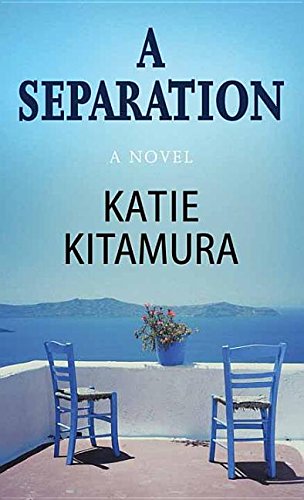 Stock image for A Separation : A Novel for sale by Better World Books