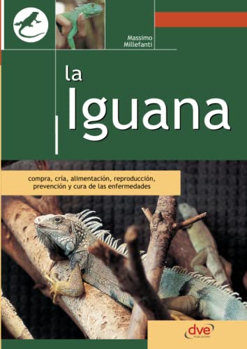 9781683258841: La iguana