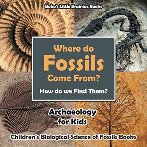 Imagen de archivo de Where Do Fossils Come from? How Do We Find Them? Archaeology for Kids - Children's Biological Science of Fossils Books a la venta por SecondSale