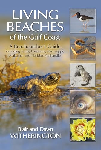 Stock image for Living Beaches of the Gulf Coast: A Beachcombers Guide including Texas, Louisiana, Mississippi, Alabama and Floridas Panhandle for sale by Michael Lyons