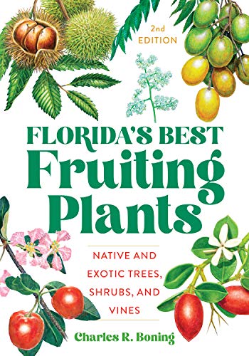Imagen de archivo de Florida's Best Fruiting Plants: Native and Exotic Trees, Shrubs, and Vines a la venta por Irish Booksellers