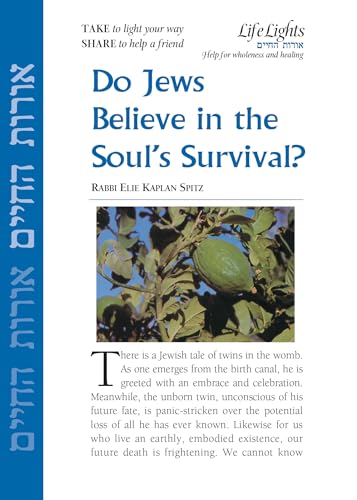 Stock image for Do Jews Believe in Soul's Survival-12 Pk for sale by Blackwell's