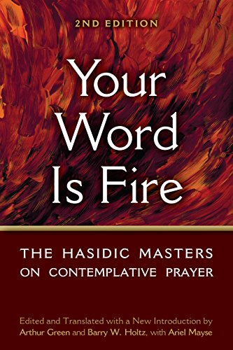 9781683366706: Your Word is Fire: The Hasidic Masters on Contemplative Prayer