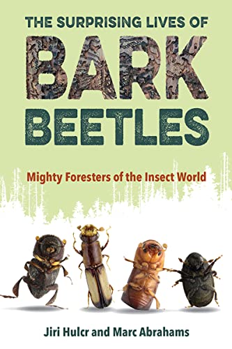 Beispielbild fr The Surprising Lives of Bark Beetles zum Verkauf von Blackwell's
