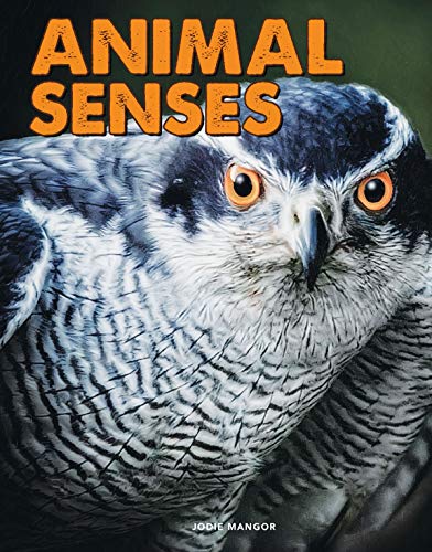 Beispielbild fr Animal Senses (Science Alliance) zum Verkauf von Red's Corner LLC