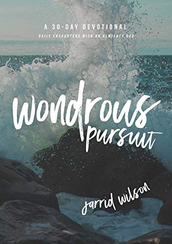 9781683590088: Wondrous Pursuit: Daily Encounters with an Almighty God
