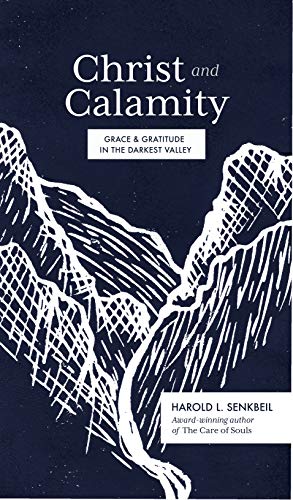 Beispielbild fr Christ and Calamity: Grace and Gratitude in the Darkest Valley zum Verkauf von ThriftBooks-Atlanta