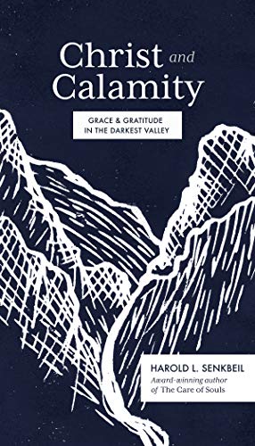 Imagen de archivo de Christ and Calamity : Grace and Gratitude in the Darkest Valley a la venta por Better World Books: West