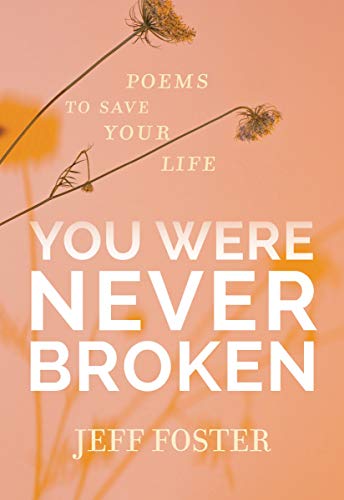 Stock image for You Were Never Broken for sale by St Vincent de Paul of Lane County