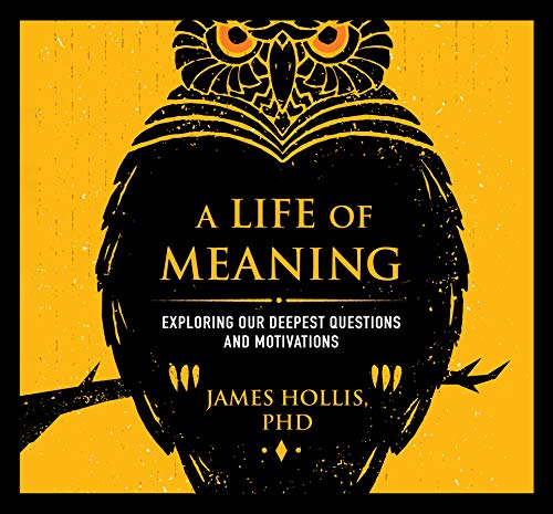 Stock image for A Life of Meaning: Exploring Our Deepest Questions and Motivations for sale by Gardner's Used Books, Inc.