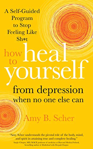 Beispielbild fr How to Heal Yourself from Depression When No One Else Can: A Self-Guided Program to Stop Feeling Like Sh*t zum Verkauf von Big River Books