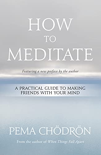 Stock image for How to Meditate: A Practical Guide to Making Friends with Your Mind for sale by HPB-Diamond
