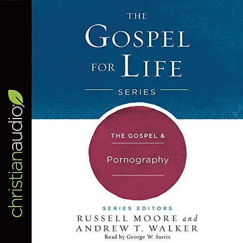 Stock image for The Gospel & Pornography (Gospel For Life) for sale by HPB-Diamond