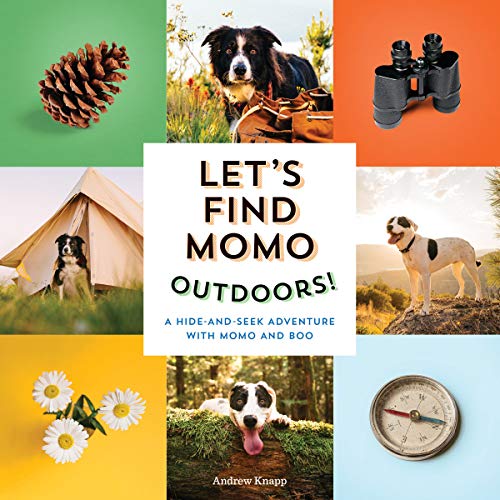 Beispielbild fr Let's Find Momo Outdoors! : A Hide-And-Seek Adventure with Momo and Boo zum Verkauf von Better World Books
